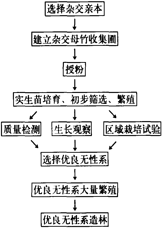 四、竹子雜交育種